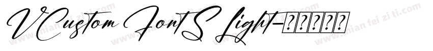 VCustom FontS Light字体转换